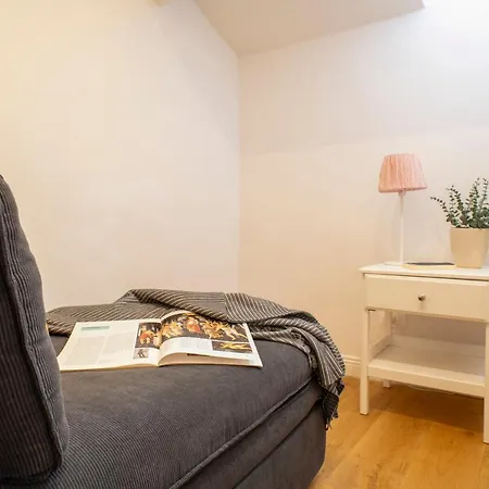 Roofscape View Florence